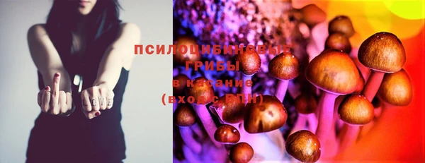 прущая мука Мурманск