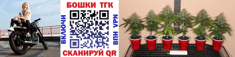 наркота  Козьмодемьянск  Канабис план 